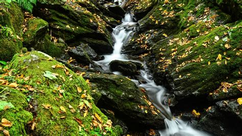 Dry Leaves On Algae Covered Stones Waterfall Stream Rocks 4k Hd Nature
