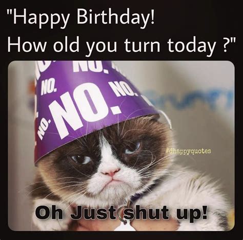 Party Hat Meme Sad Birthday Cat Bmp Future
