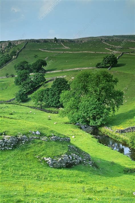 Yorkshire Dales Countryside Stock Image C0114578 Science Photo