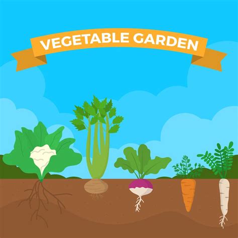 Flat Vegetable Garden Vector Illustration 202058 Vector Art At Vecteezy