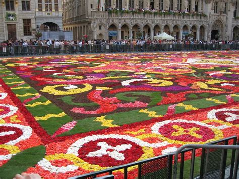 Check spelling or type a new query. Brussels Flower Carpet - XarJ Blog and Podcast