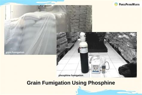 Grain Fumigation Using Phosphine