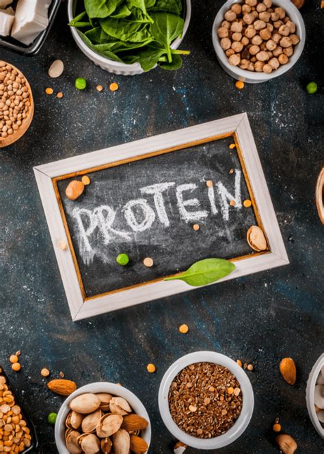 Do We Require Animal Protein Health My Lifestyle