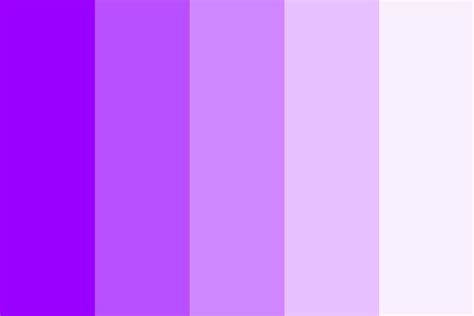 Vivid Purple Color Palette