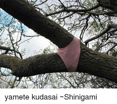 らe Yamete Kudasai ~shinigami Dank Meme On Meme