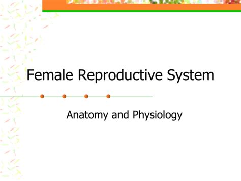 Female Reproductive System