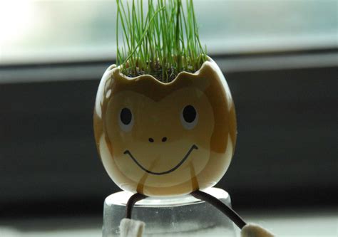 Other key nutrients for preventing hair loss are folic acid, biotin, magnesium, inositol, and sulfur. 8 Natural Ways to Prevent Hair Loss