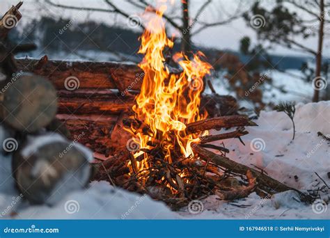 Campfire Burns In The Snow In The Woods Campfire Burning In Cold