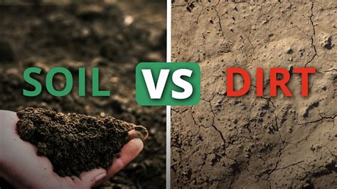What Makes Soil Healthy Soil Food Web School Youtube