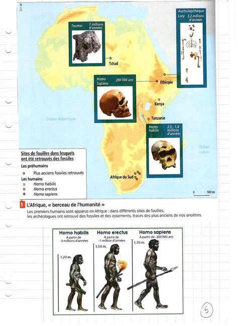 Co Schooling En Histoire Classe De 6ème Les Débuts De Lhumanité