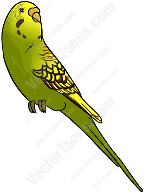 Budgerigar Clipart 20 Free Cliparts Download Images On Clipground 2024
