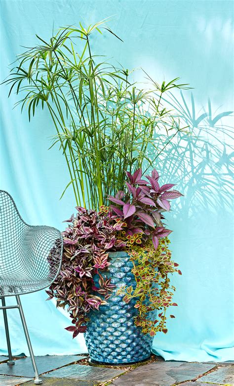 How To Create Beautiful Tropical Planters And Container Gardens