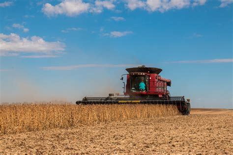 Changes, perspective on soybean harvest - The Pinke Post