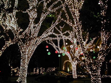 Magical winter lights at lone star park: Where to View Christmas Lights In Dallas | Dallas Socials
