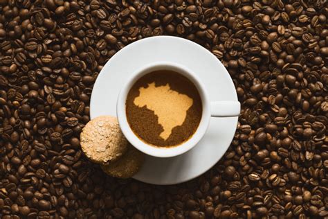 Why Brazilian Specialty Coffee Is Thriving In Todays Market