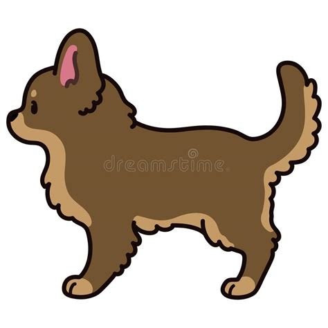 Long Haired Chihuahua Stock Illustrations 81 Long Haired Chihuahua