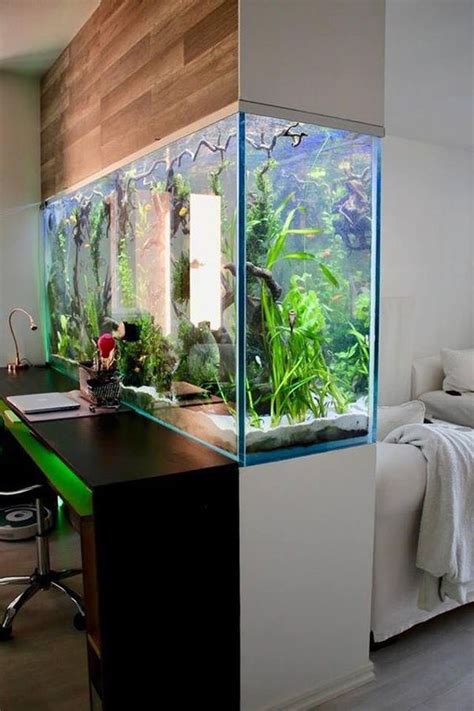 Diy aquarium divider in cichlid fish tank. 20 Amazing Aquarium Wall Dividers For Home And Office | | | Ide dekorasi rumah, Aquarium ikan ...