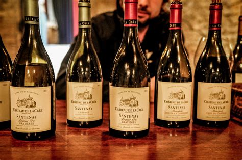 A Basic Guide To Burgundy Wine