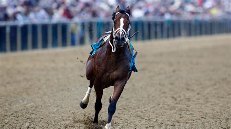 2019 Preakness Stakes Bodexpress Runs Entire Race Without Its Jockey