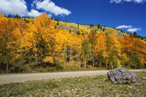 Go Hike Colorado Squaw Pass Road Fall Colors Arapaho