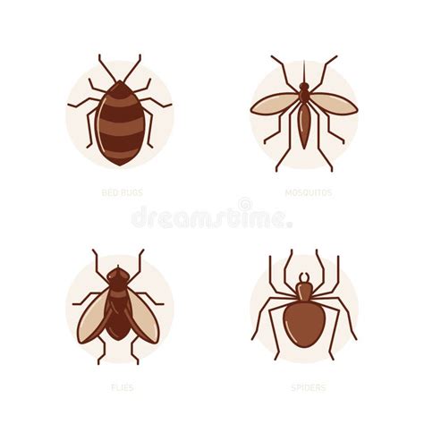 Bed Bugs Mosquitos Flies Spiders Stock Illustrations 2 Bed Bugs