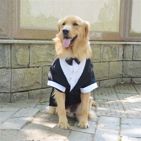Lovelonglong Pet Costume Dog Suit Formal Tuxedo With Black Bow Tie For