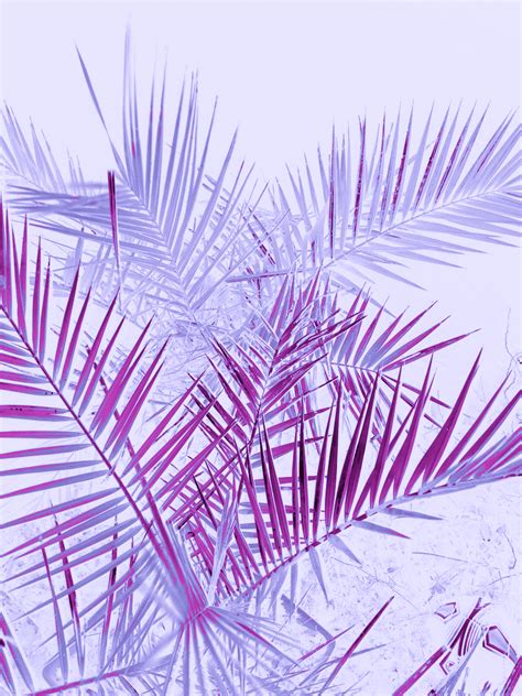 Download Hd Purple Background Tumblr Pastel Purple