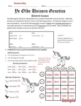 For each problem, complete a dihybrid cross and calculate the ratios of each genotype. Dihybrid Crosses (F1 Dihybrid Cross Worksheet) by Cynthia ...