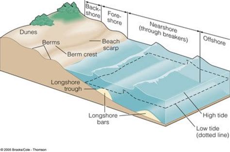 Geographical Processes That Form And Transform Coastal Environments