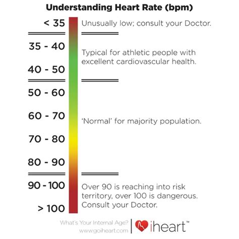 Age and activity level are more important factors for heart rate. Pin by Mark batista on Medical | Normal heart rate, Heart ...