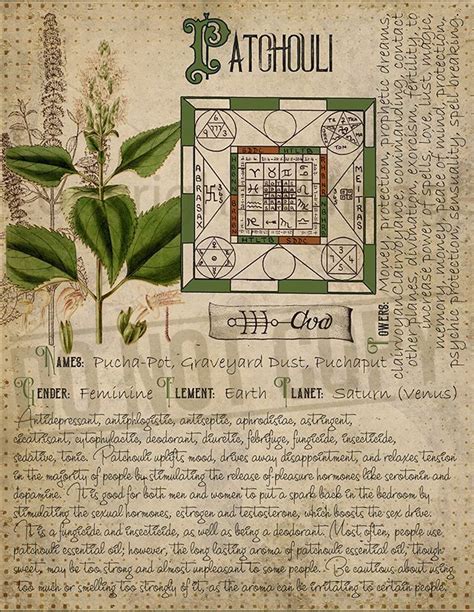 Grimoire Herbal Pages Witchcraft Printable Book Of Shadows Bos