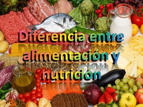Diferencia Entre Alimentación Y Nutrición 4
