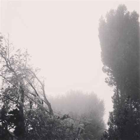 Foggy Morning 1 Via Instagram My Word With Douglas E Welch