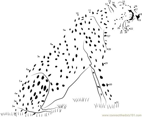 Animal State Cheetah Dot To Dot Printable Worksheet Connect The Dots