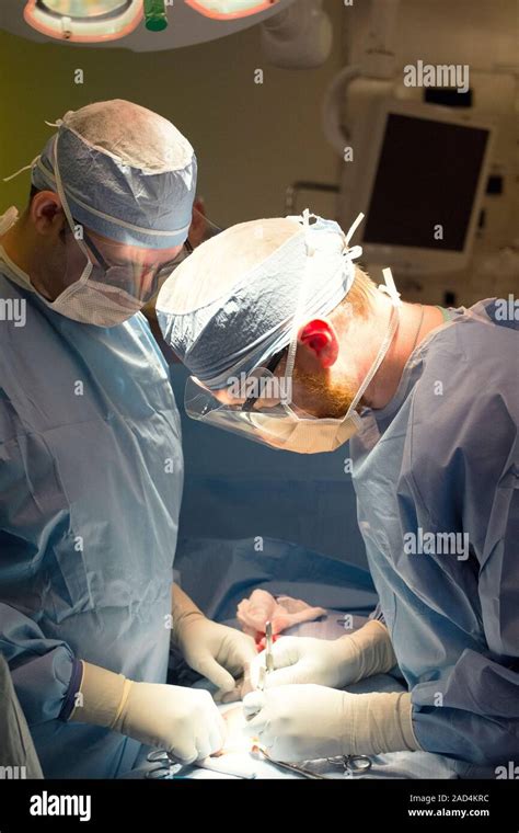 Hernia Repair Surgery Surgeons Carrying Out A Hernia Repair Operation