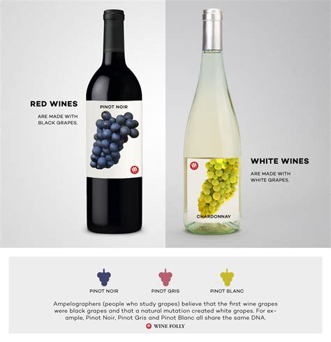 Red Wine Vs White Wine The Real Differences Wine Folly