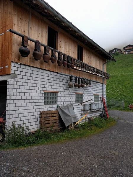 Lessons From Swiss Dairy Farmers In The Alps Agweb