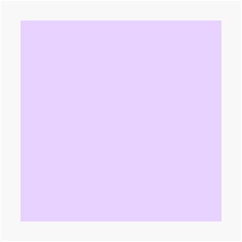 Pale Lilac Solid Color Photographic Print By Podartist Redbubble