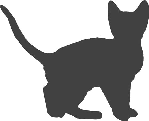 Clip Art Details Domestic Short Haired Cat Png Download Full Size