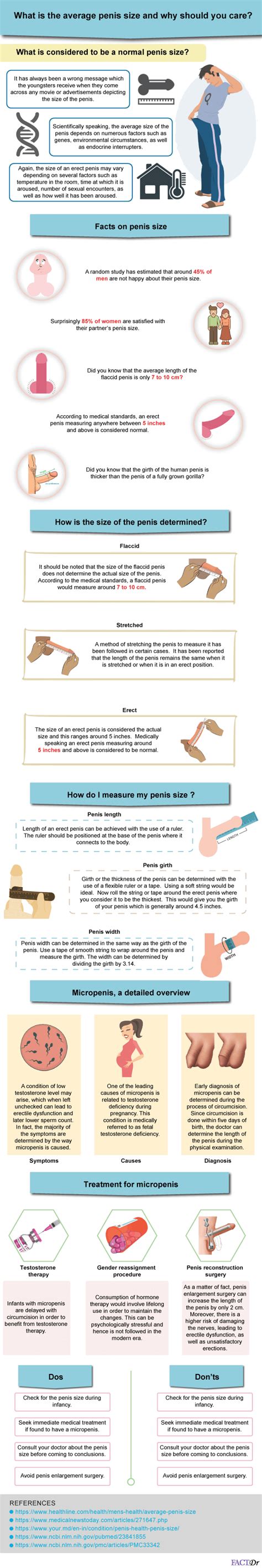 What Is The Average Penis Size And Why Should You Care Factdr