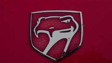 47 Dodge Viper Logo Wallpaper Wallpapersafari