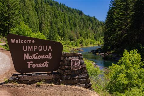 Just East Of Roseburg Is The Umpqua National Forest Nearly A Million