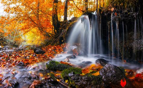 25 Fall Wallpapers Backgrounds Images Pictures Design Trends