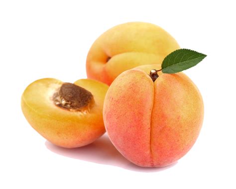 Apricot Png Image Png Mart