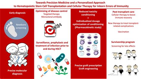 Frontiers Personalized Hematopoietic Stem Cell Transplantation For