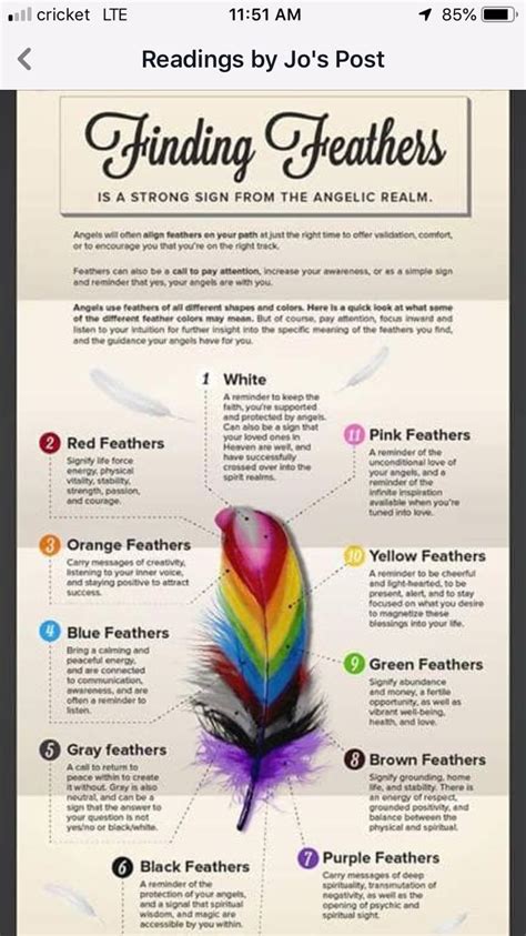 Pin by Judy Dunn on Angels | Feather meaning, Finding feathers, White ...