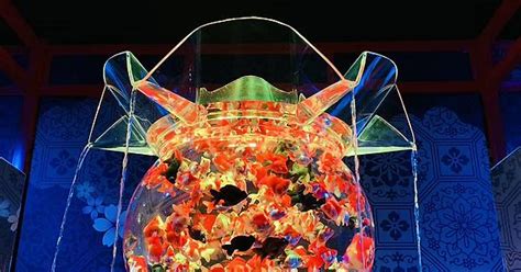 Art Aquarium Exhibit Shanghai Album On Imgur
