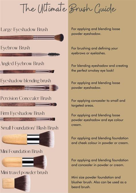 eyeshadow brushes guide