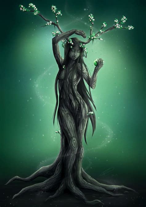 a dryad is a tree nymph or tree spirit in greek mythology drys signifies oak in greek and are