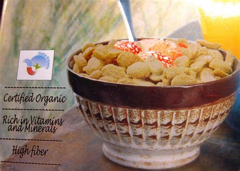 Vegan India Organic Vegan Breakfast Cereal From ‘pristine Organics